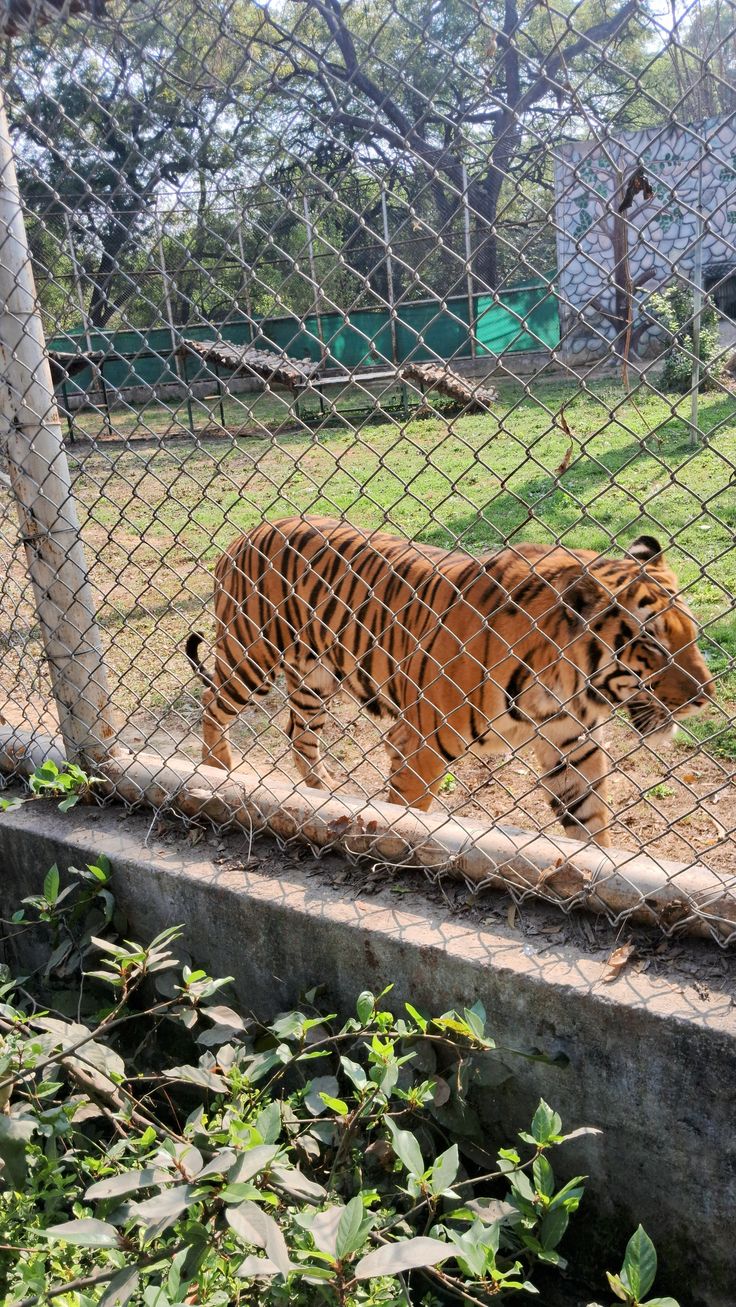 Dehradun Zoo